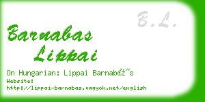 barnabas lippai business card